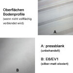 Bodenprofil Set 20-5, aufgesetzt  f. raumhohe Verglasung, F-Form